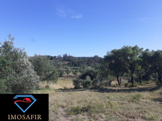 Santarém Tomar 2305 LS98918518