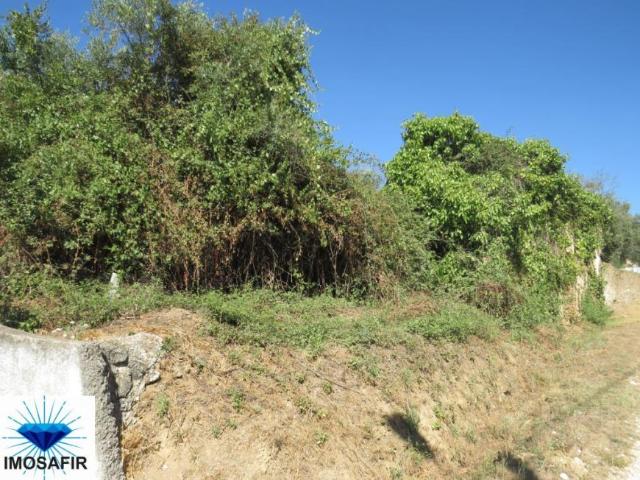 Santarém Tomar 2300 LS98918416