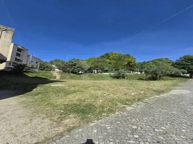 Santarém Torres Novas 103515176
