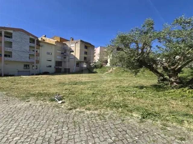 Santarém Torres Novas 103515196