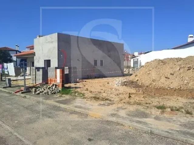 Santarém Torres Novas 103526039
