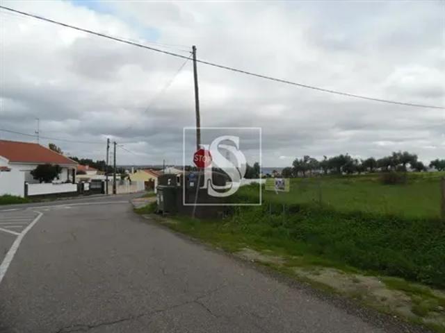 Santarém Torres Novas 103541003