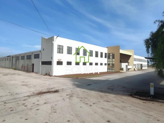 Santarém Torres Novas 2350 102468489
