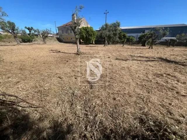 Santarém Abrantes 103511490