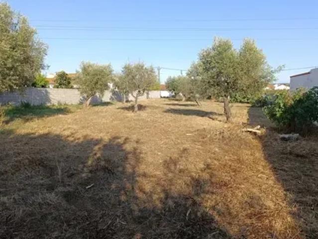 Santarém Abrantes 103535628
