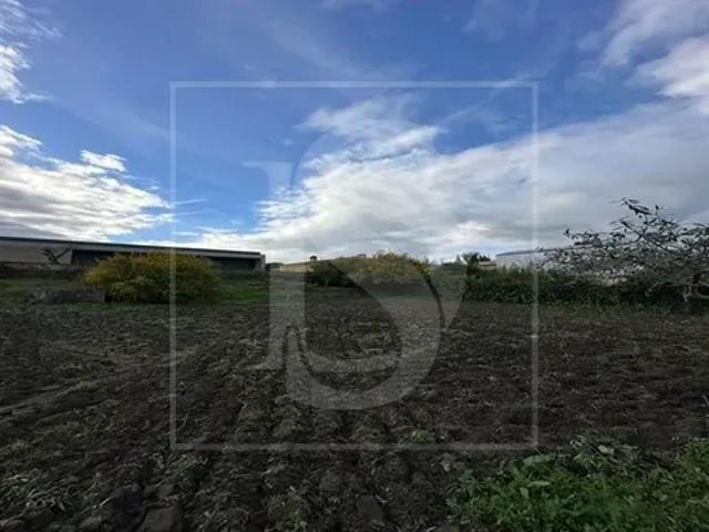 Santarém Abrantes 103540745