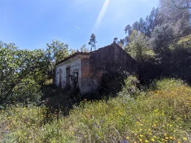 Santarém Abrantes 103540978