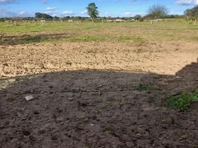 Santarém Abrantes 103540992