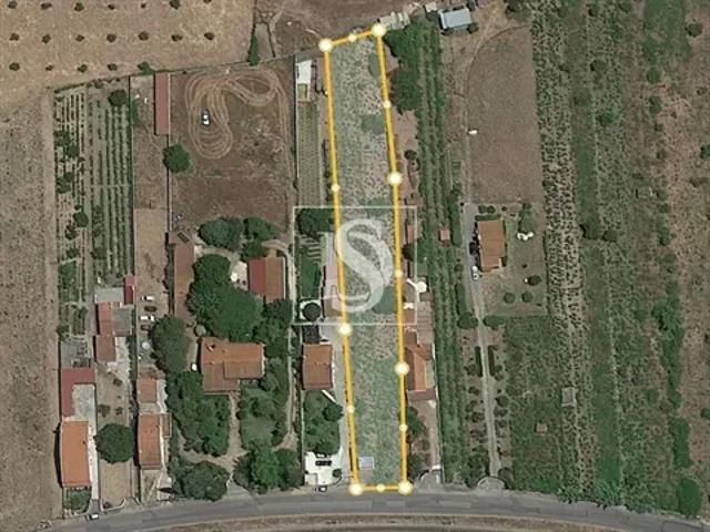 Santarém Abrantes 103541177