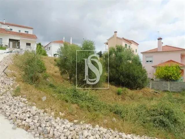 Santarém Abrantes 103555411