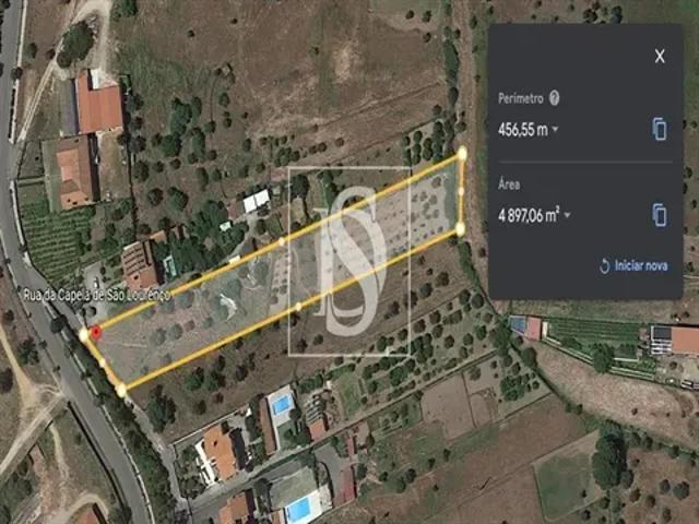 Santarém Abrantes 103555432