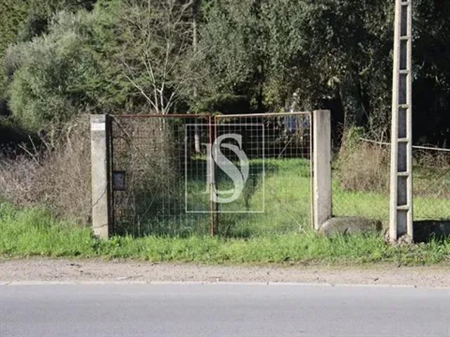 Santarém Abrantes 103556127