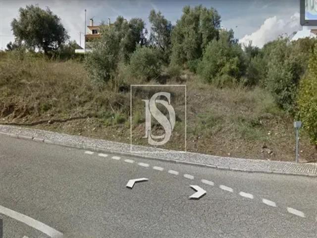 Santarém Abrantes 103557237