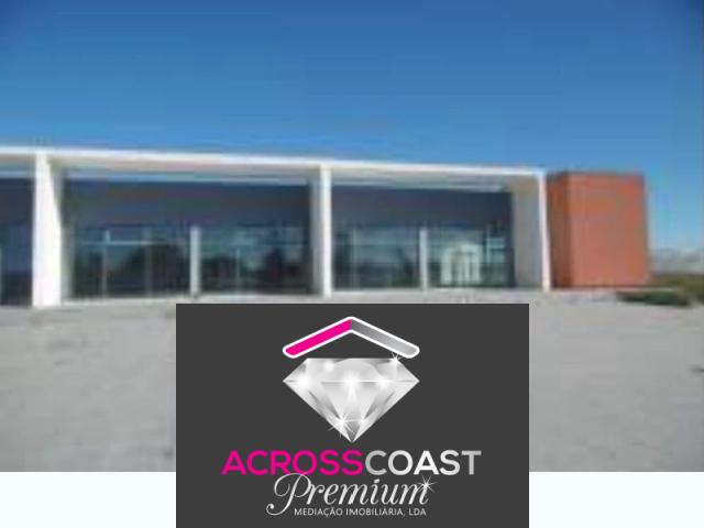 Santarém Benavente 2135 96905125
