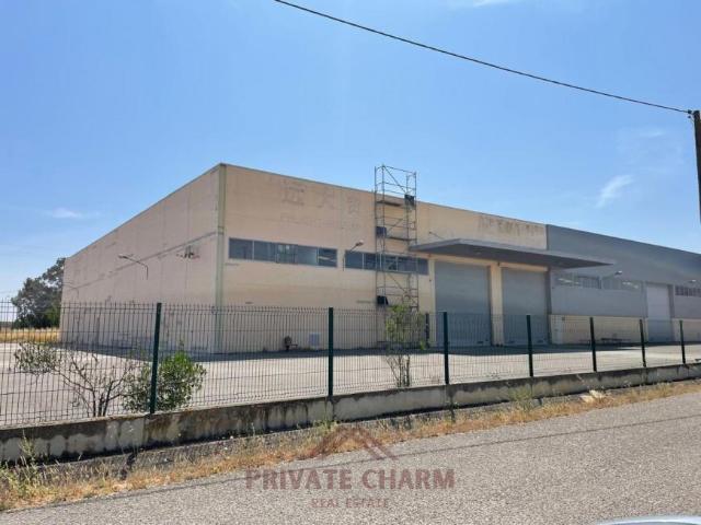 Santarém Benavente 2135 98048573