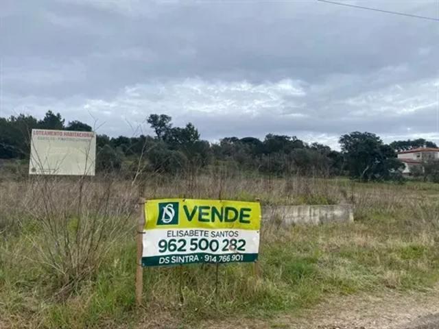 Santarém Chamusca 103540708