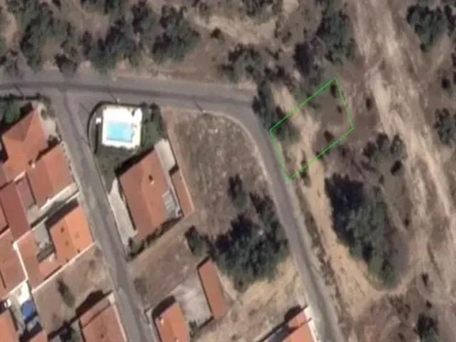 Santarém Chamusca 103541035