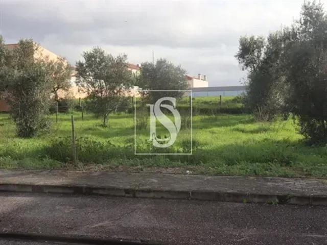 Santarém Constância 103554283