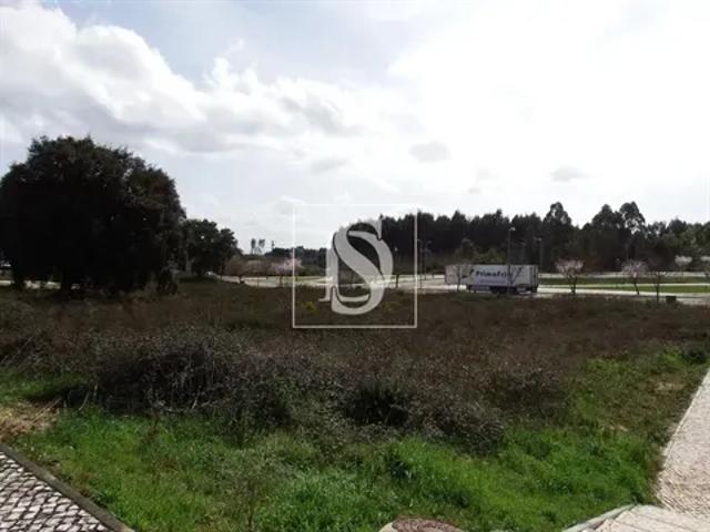 Santarém Ferreira do Zêzere 103556844