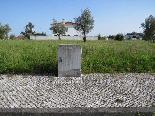 Santarém Ourém 2436 LS98918422