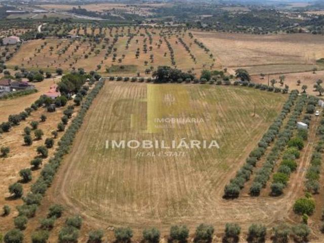 Santarém Santarém 86008294