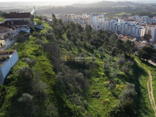 Santarém Santarém 86008338