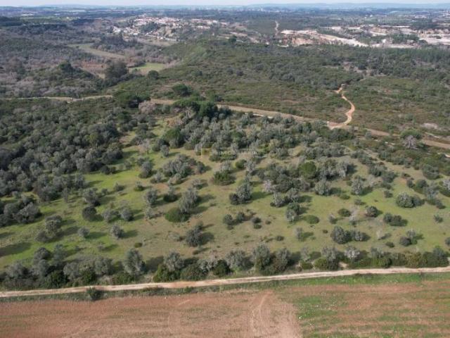 Santarém Santarém 87797707