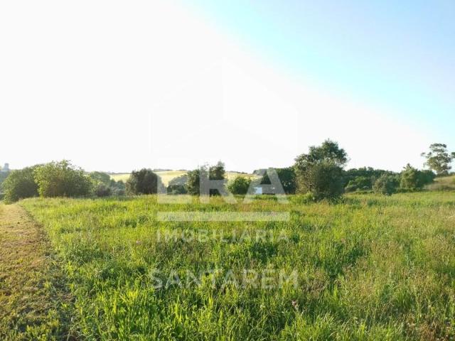 Santarém Santarém 90122768