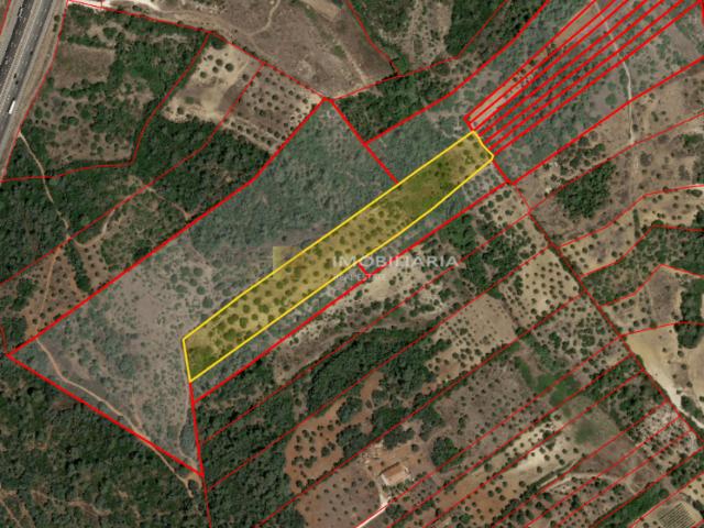 Santarém Santarém 92574544