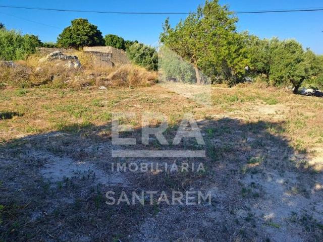 Santarém Santarém 93146740