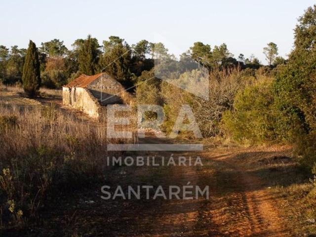 Santarém Santarém 93244944
