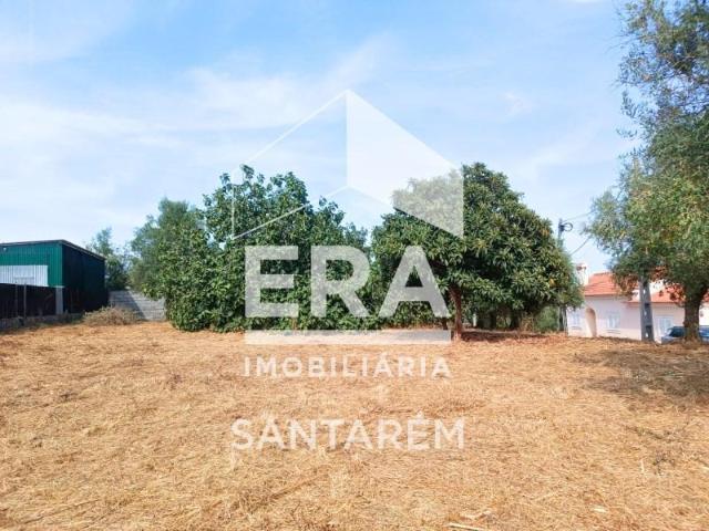 Santarém Santarém 95450359