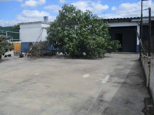 Santarém Santarém 95845670
