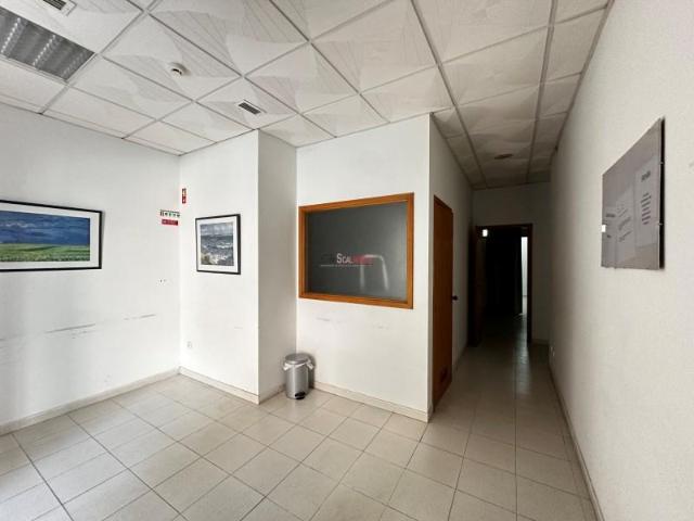 Santarém Santarém 96196859