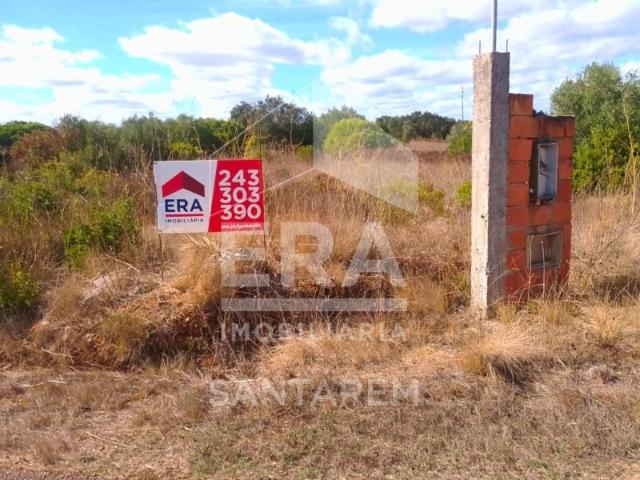 Santarém Santarém 96197219