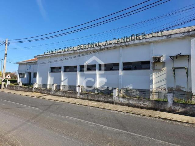 Santarém Santarém 96269672