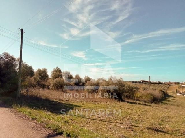 Santarém Santarém 96236735