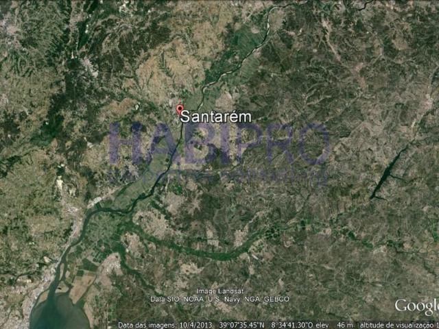 Santarém Santarém 96584451