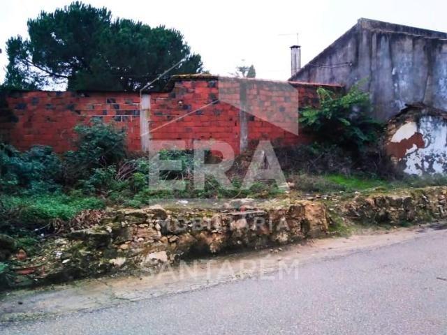 Santarém Santarém 97116390
