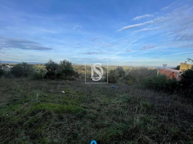 Santarém Santarém 97118196