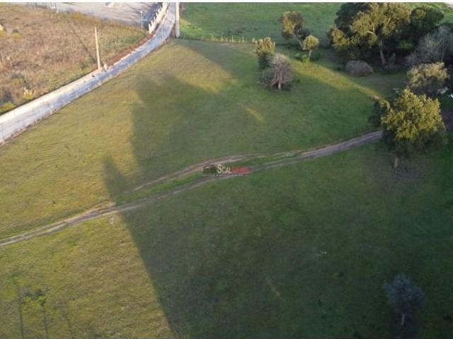 Santarém Santarém 97121289