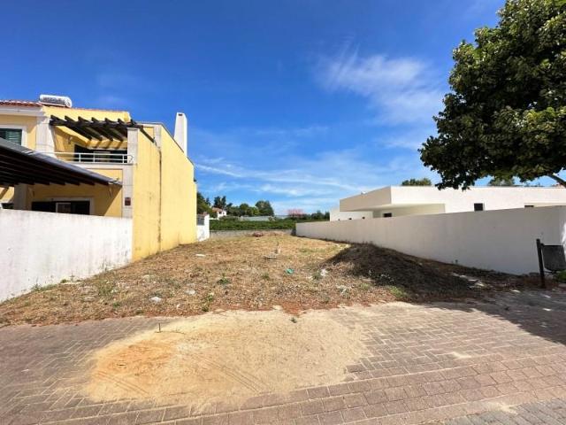 Santarém Santarém 97123099