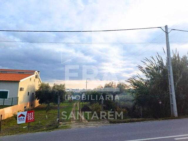 Santarém Santarém 98535732