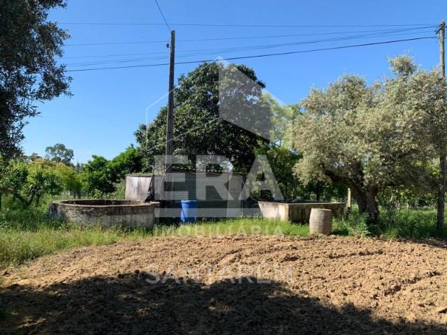 Santarém Santarém 98970877