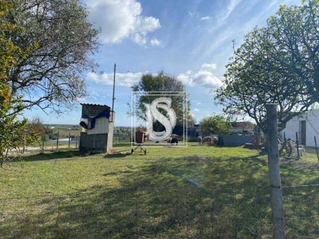 Santarém Santarém 99108069