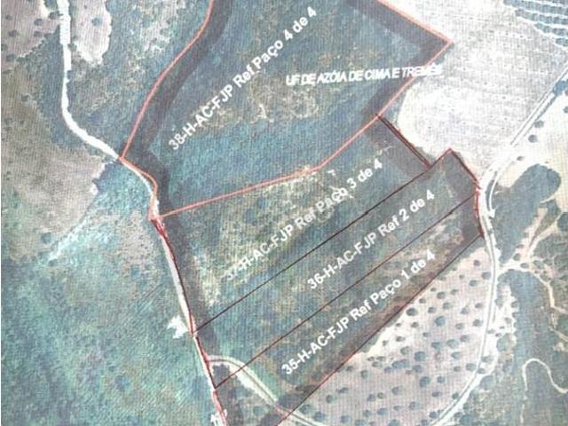Santarém Santarém 99377054