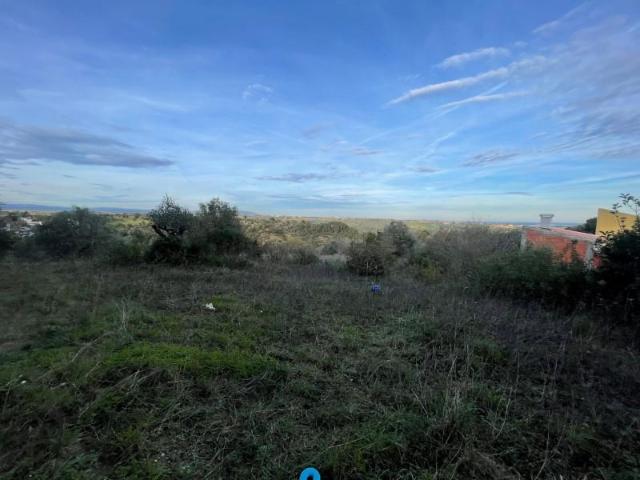 Santarém Santarém 101064364
