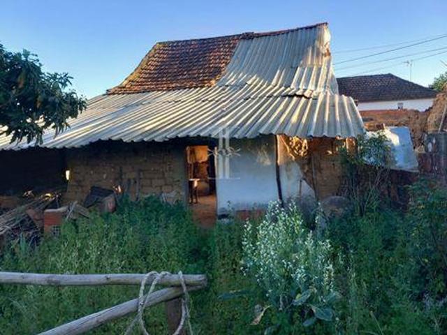 Santarém Santarém 101277240