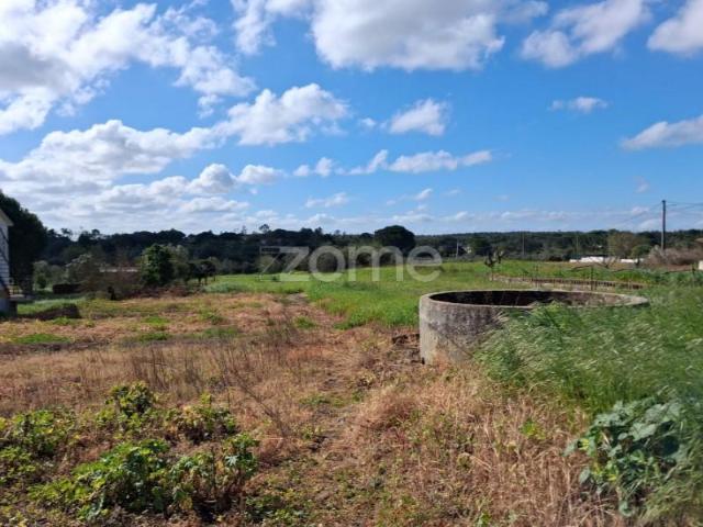 Santarém Santarém 102441370