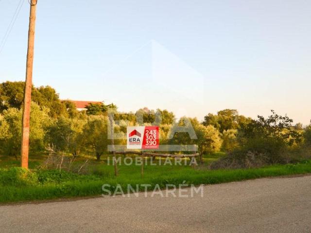 Santarém Santarém 102578011